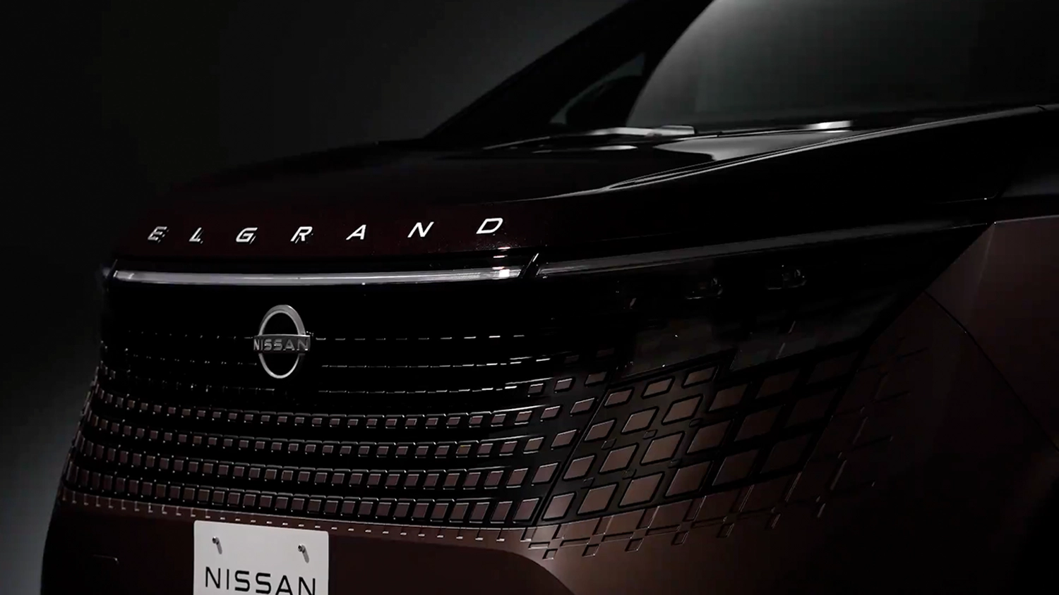 洗車前の新型エルグランド