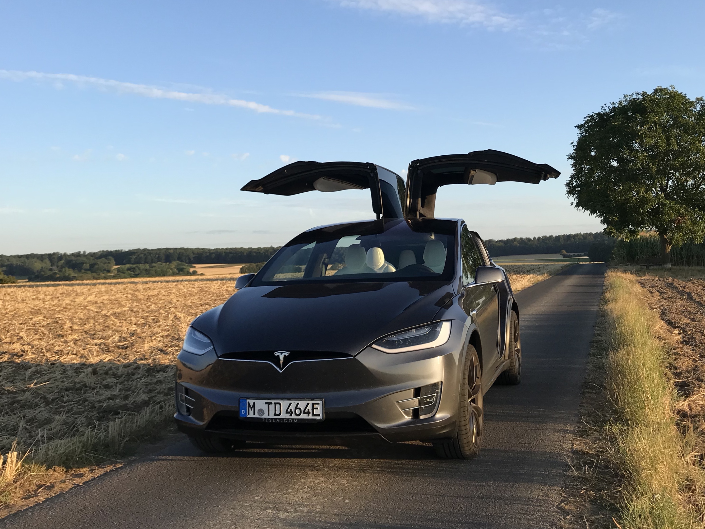 左右のファルコンウィングドアを開いた2018年撮影のModel X P100DL。ドイツ登録車の過去写真